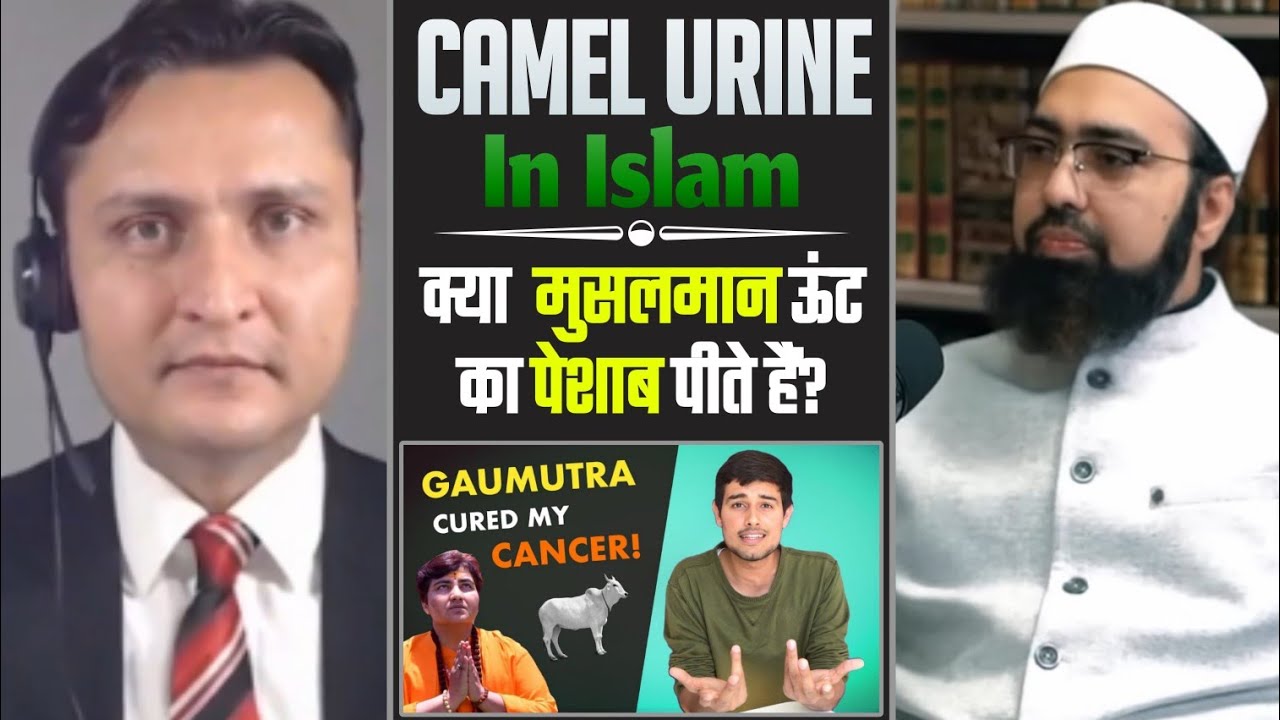 Kya Musalman Camel 🐪 Ka Peshab Peete Hain ⁉️ Camel Unrine 