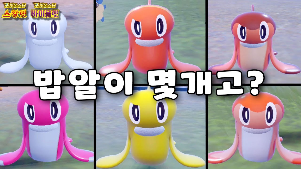 이로치 그기 돈이 됩니까? l 포켓몬스터 스칼렛 바이올렛 이로치 싸리용 헌팅