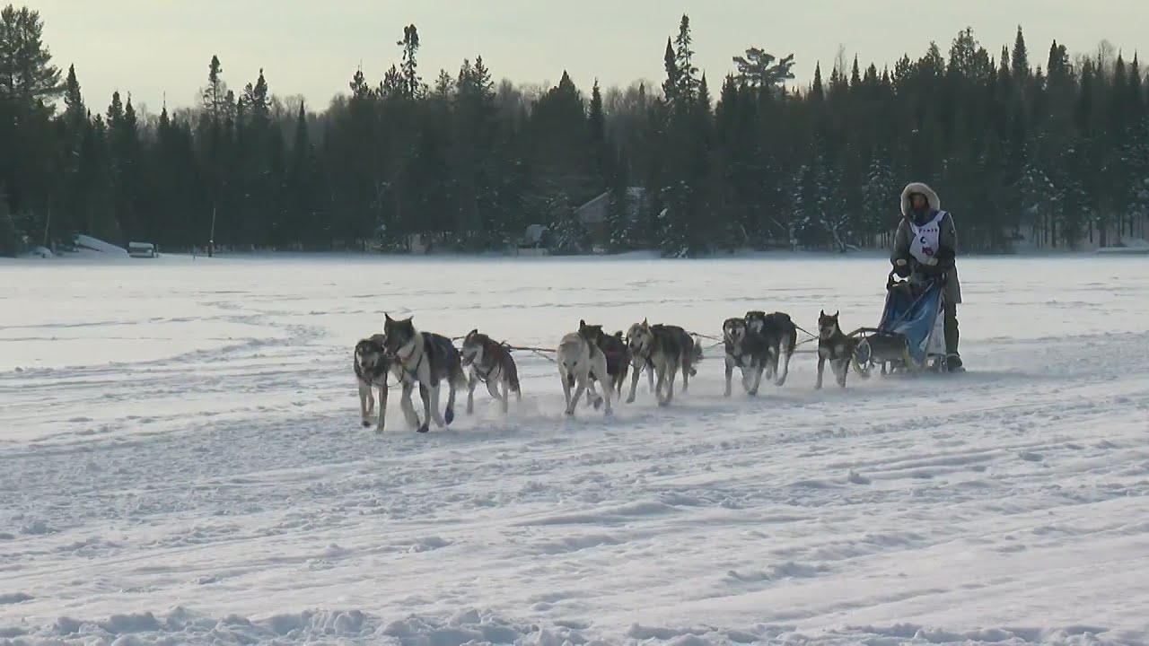 2022 Beargrease Sled Dog Race Enters Final Stretch