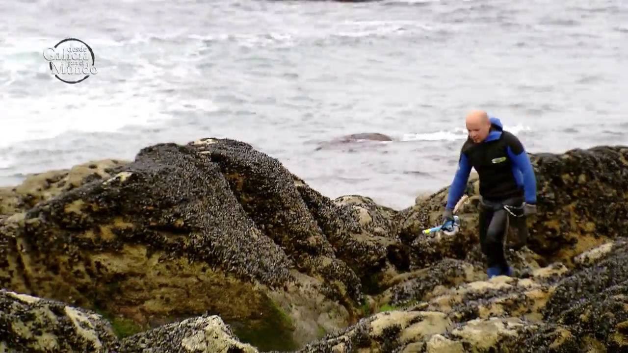 A GUARDA ENTRE MAREAS