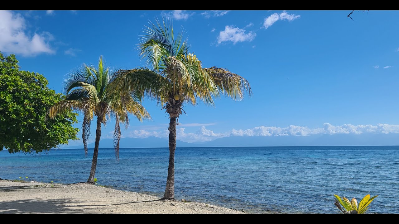 Exploring the Bay Islands, Honduras | Sailing to Roatan | Ep. 12