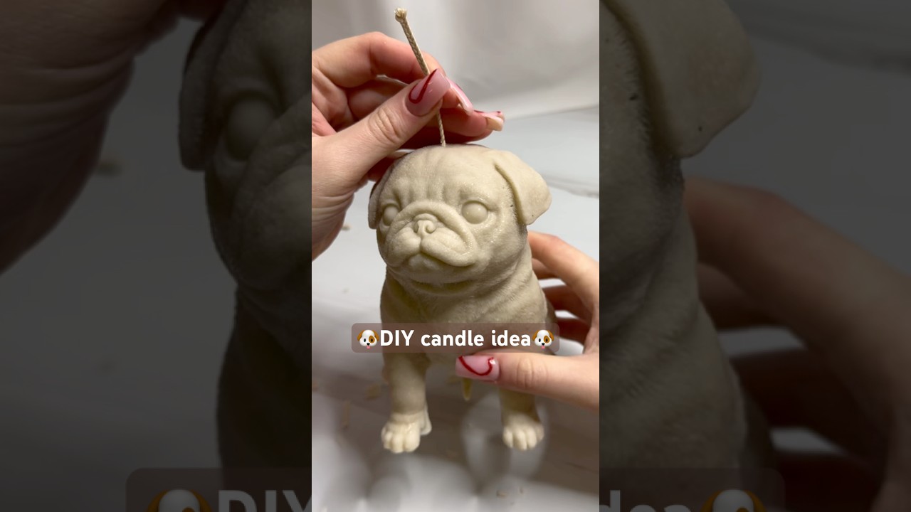 🐶🕯️cutest DIY dog candle EVER! #candle #candles #candlemaking #diy #candlebusiness #dog #cute #eco