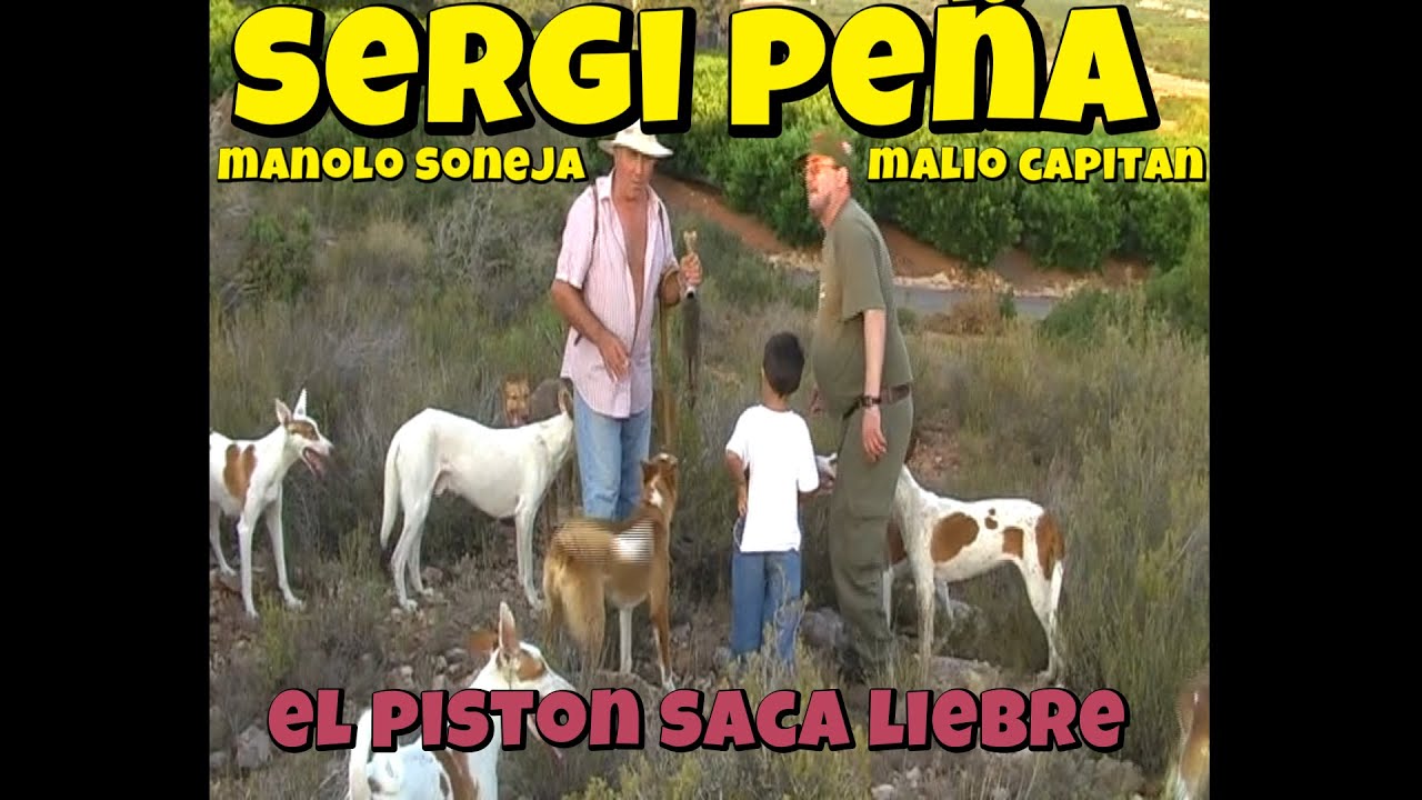 Podencos cazando a diente en Alfara de Algimia, valencia