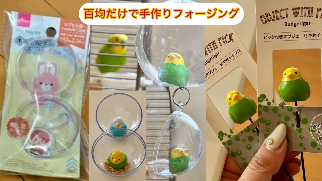 【DIY】激安‼️百均だけでインコのフォージング作りました‼️