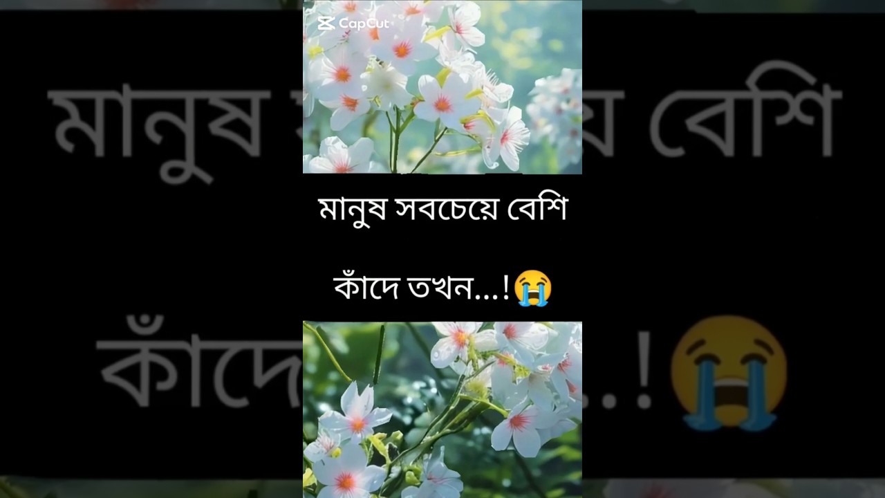মানুষ সবচেয়ে বেশি কাঁদে তখন যখন তার বেশি কাছের মানুষটি #foryou #trending #viral #viralvideos #sad #😭
