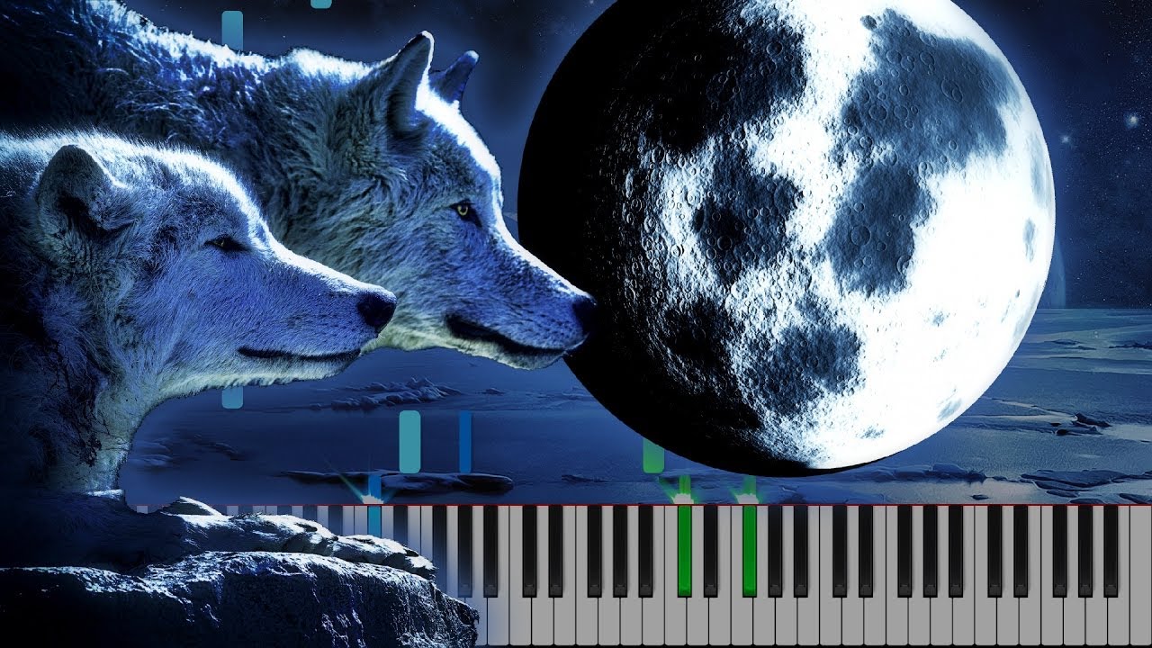 LyricWulf // ewe