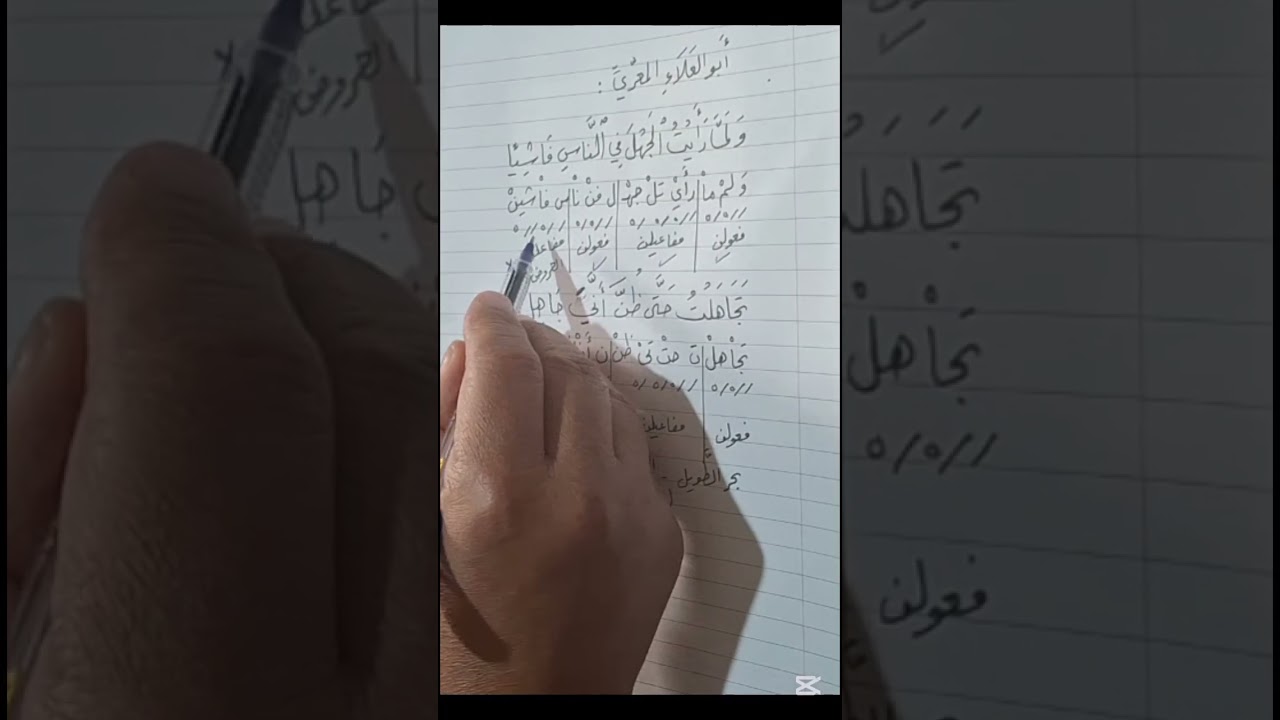 بحر الطويل - الروي - القافية - الجوازات - اعراب البيت اعرابا كاملا - ابو العلاء المعري