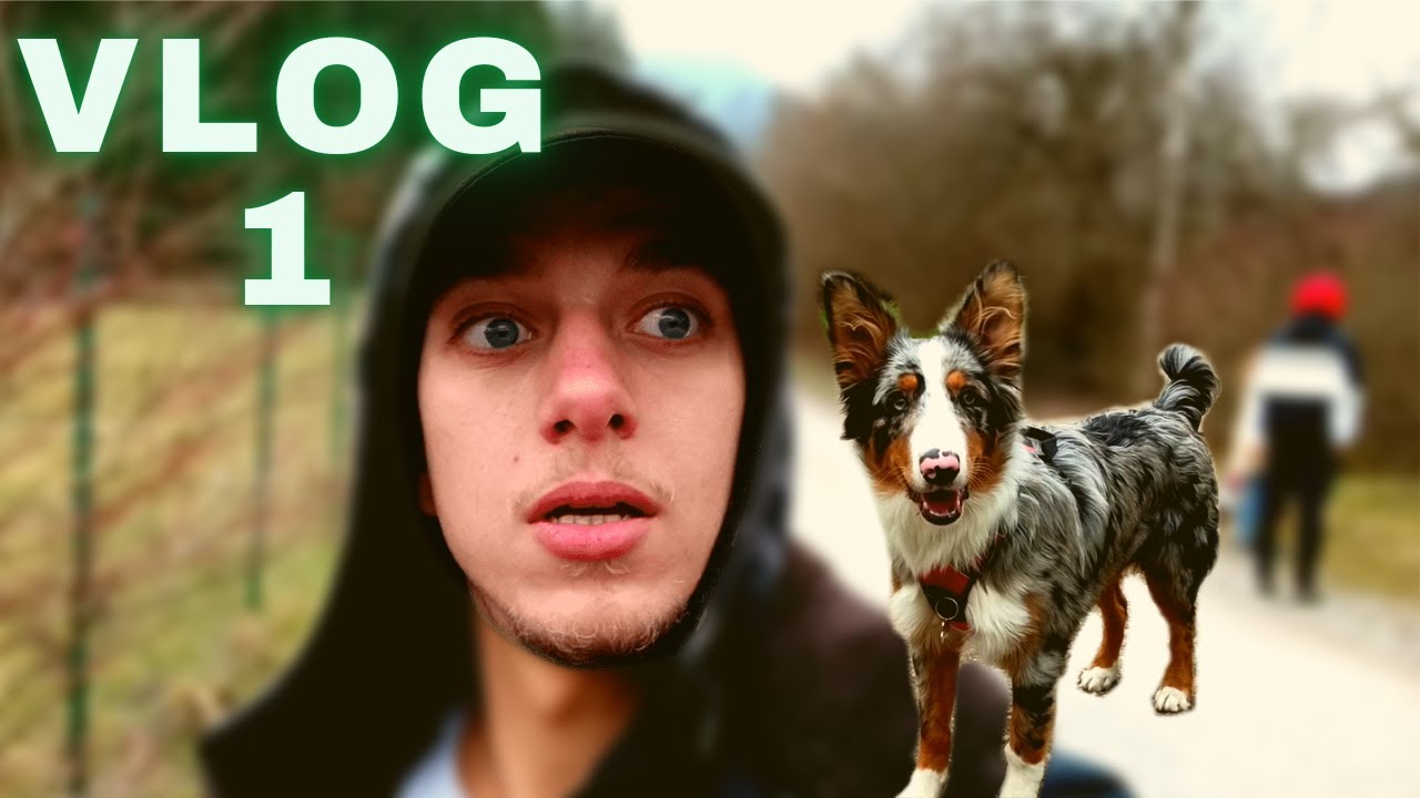 VLOG 1. Balade avec Rio