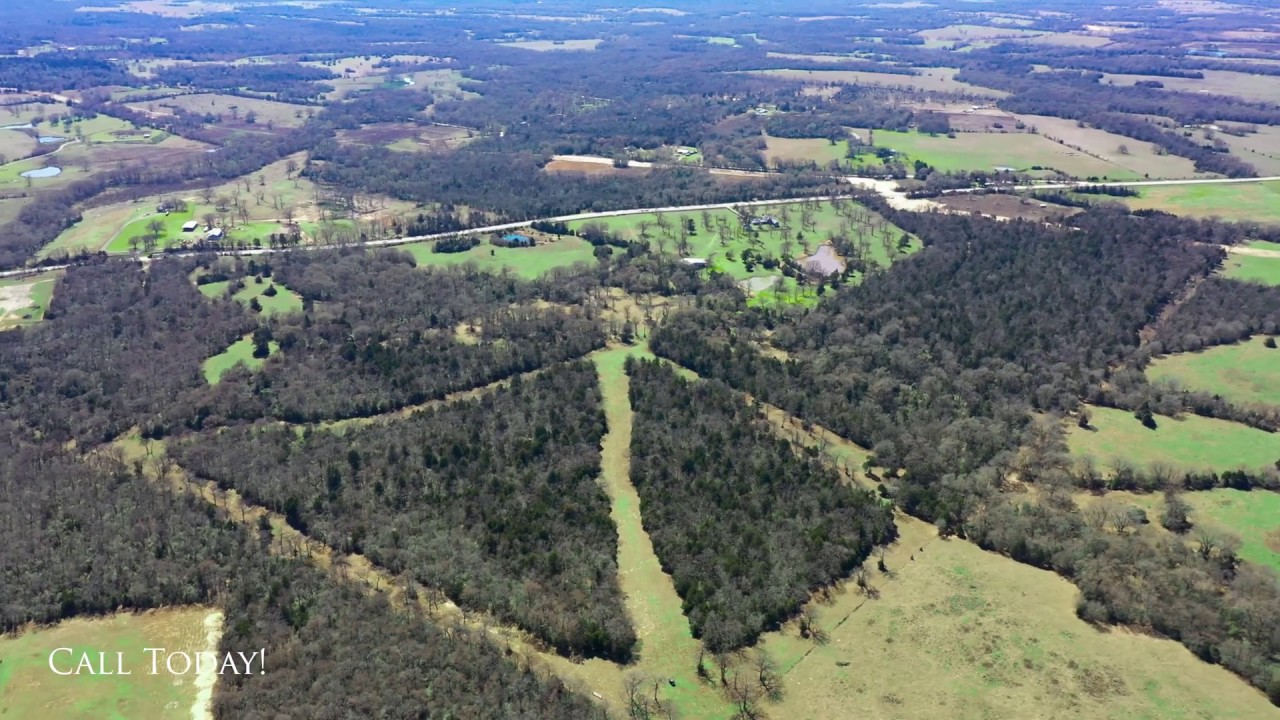 Walston Ranch | 90 +/- Acres | Leon County, Marquez Tx