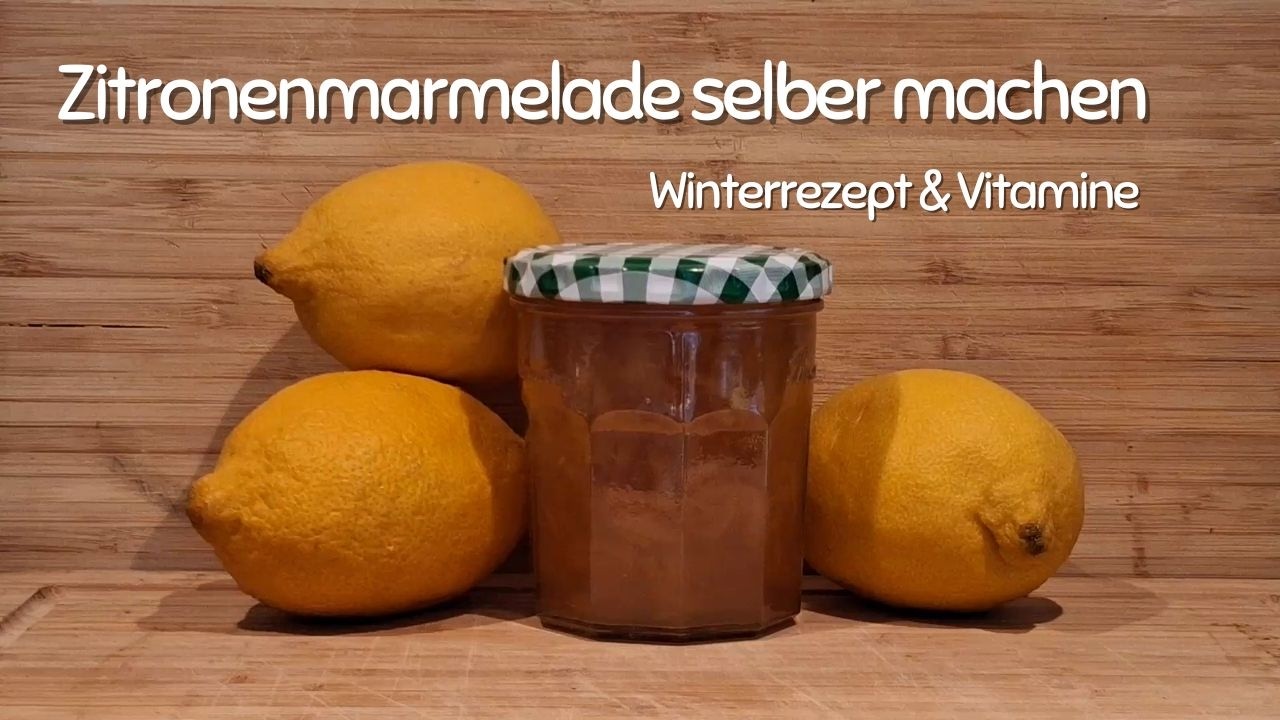 Zitronenmarmelade für den Winter 🍋  Wärme, Vitamine & Wohlgefühl im Glas