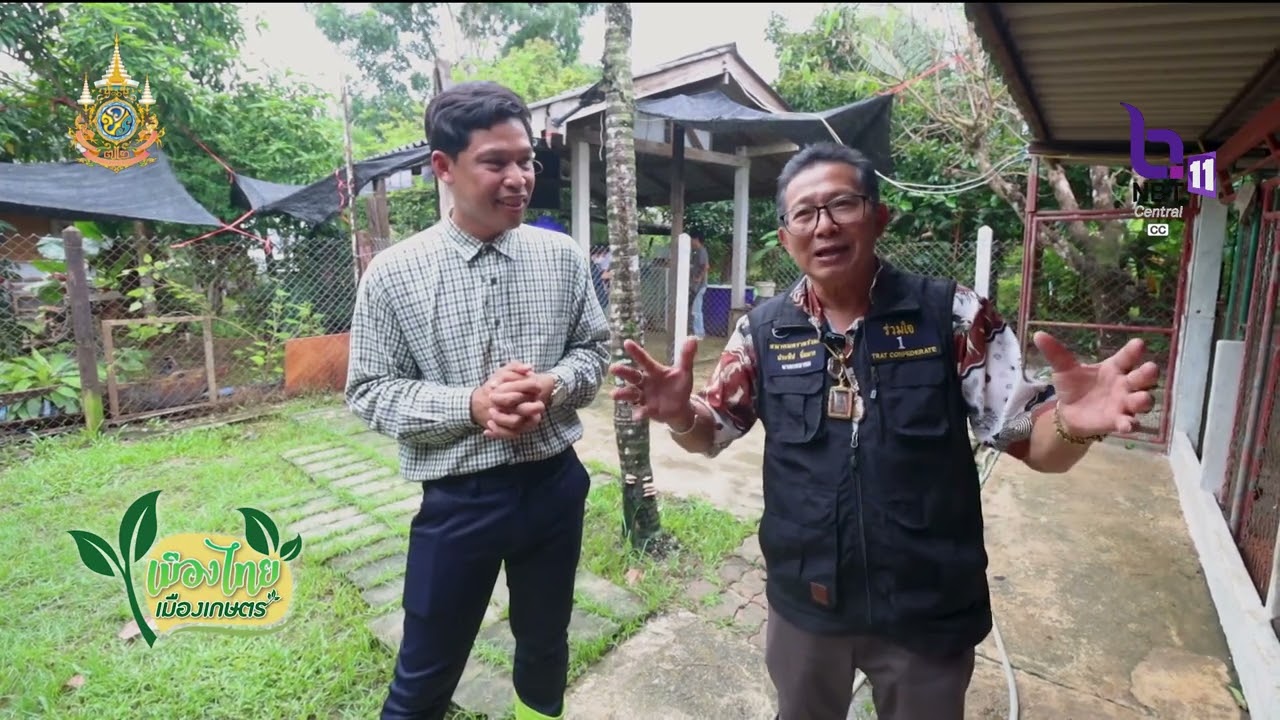 EP.71อนุรักษ์สุนัขพันธุ์ไทยหลังอาน