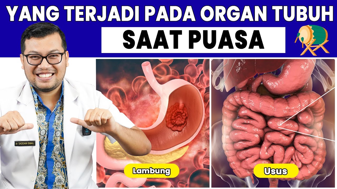 YANG TERJADI PADA ORGAN TUBUH SAAT PUASA - DOKTER SADDAM ISMAIL