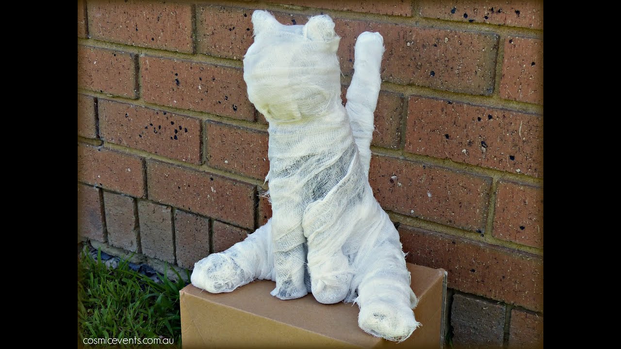 How to Make a Mummified Cat | Halloween Tutorial 2015 DIY decorations on a budget