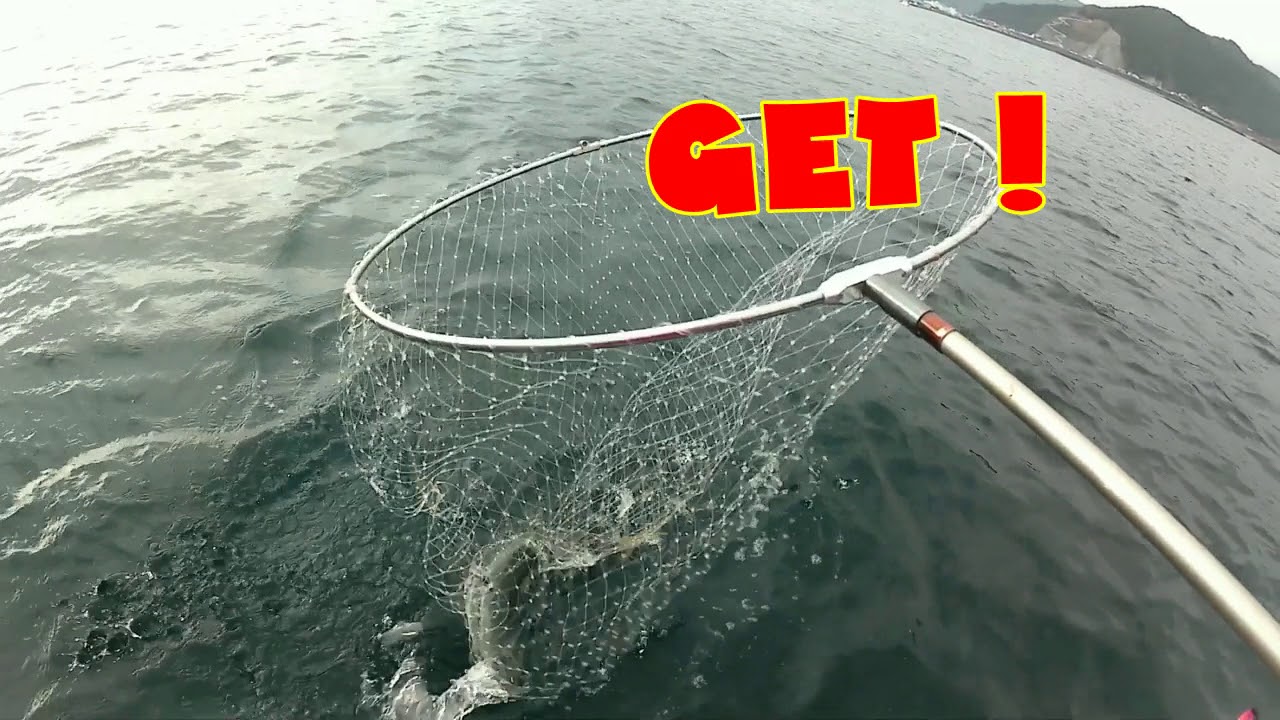 ノマセ釣りで青物ＧＥＴ!!　石倉渡船さんのレンタルボート