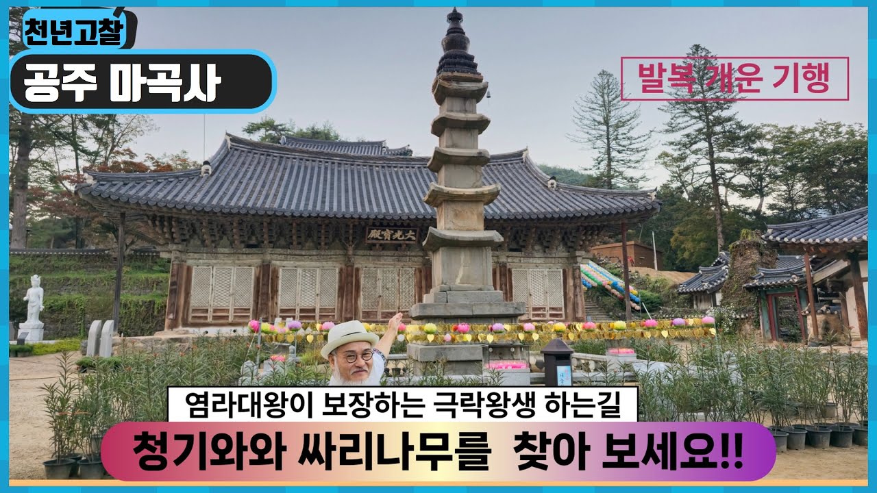 공주 마곡사 발복 기행 - 영상에서 숨은 청기와와 싸리나무 기둥을 찾아보세요. 염라대왕이 극락왕생을 위해 물어 본다고 합니다
