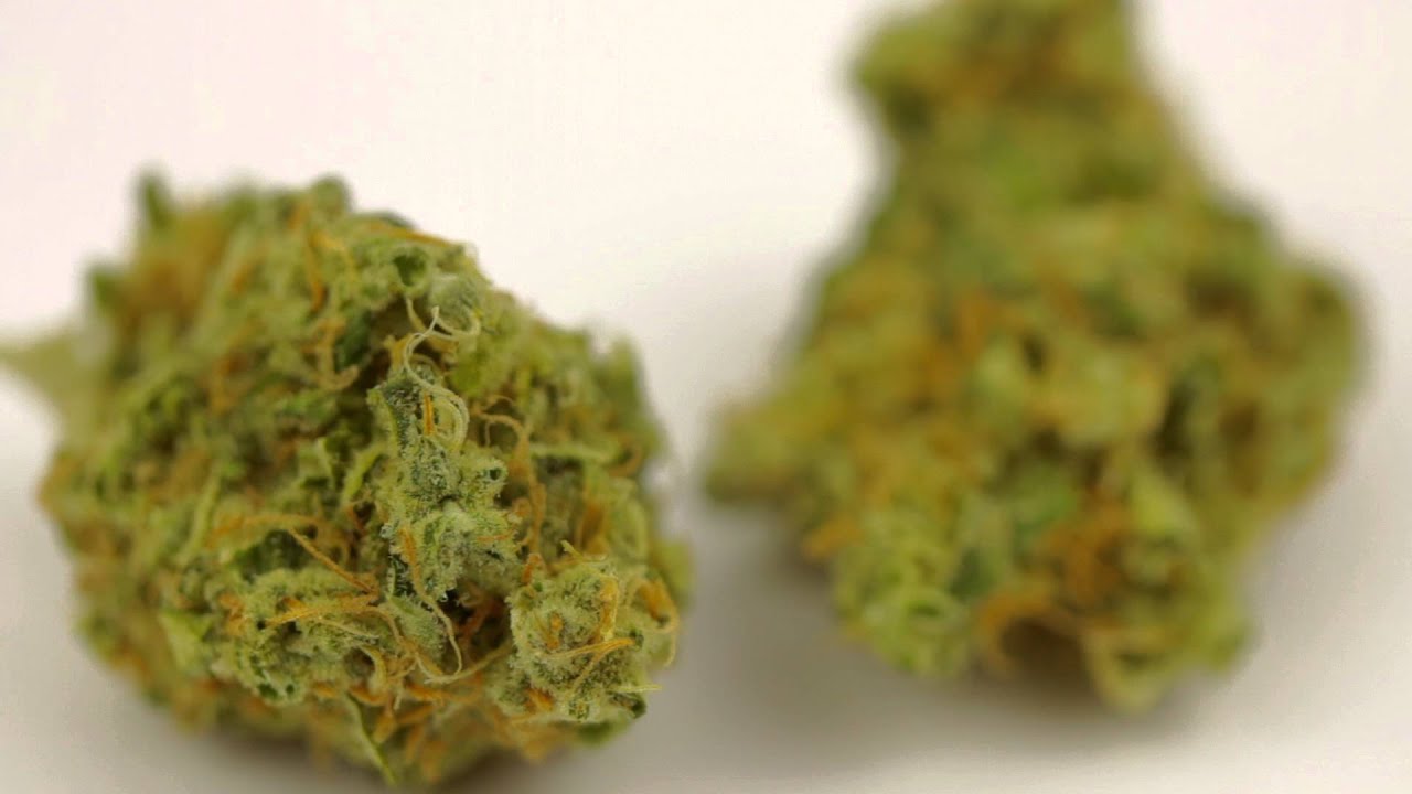 Cherry Pie