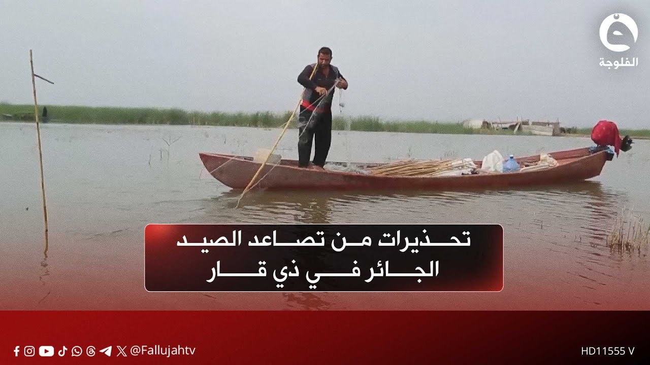 تحذيرات من تصاعد الصيد الجائر في ذي قار وتهديده للتنوع البيئي
