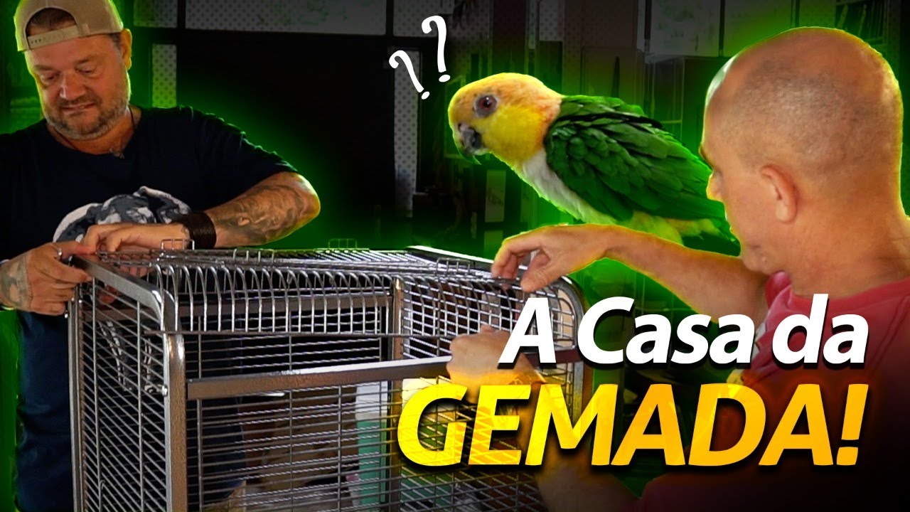 MONTANDO A NOVA MORADIA DA GEMADA! | A CASA DOS BICHOS