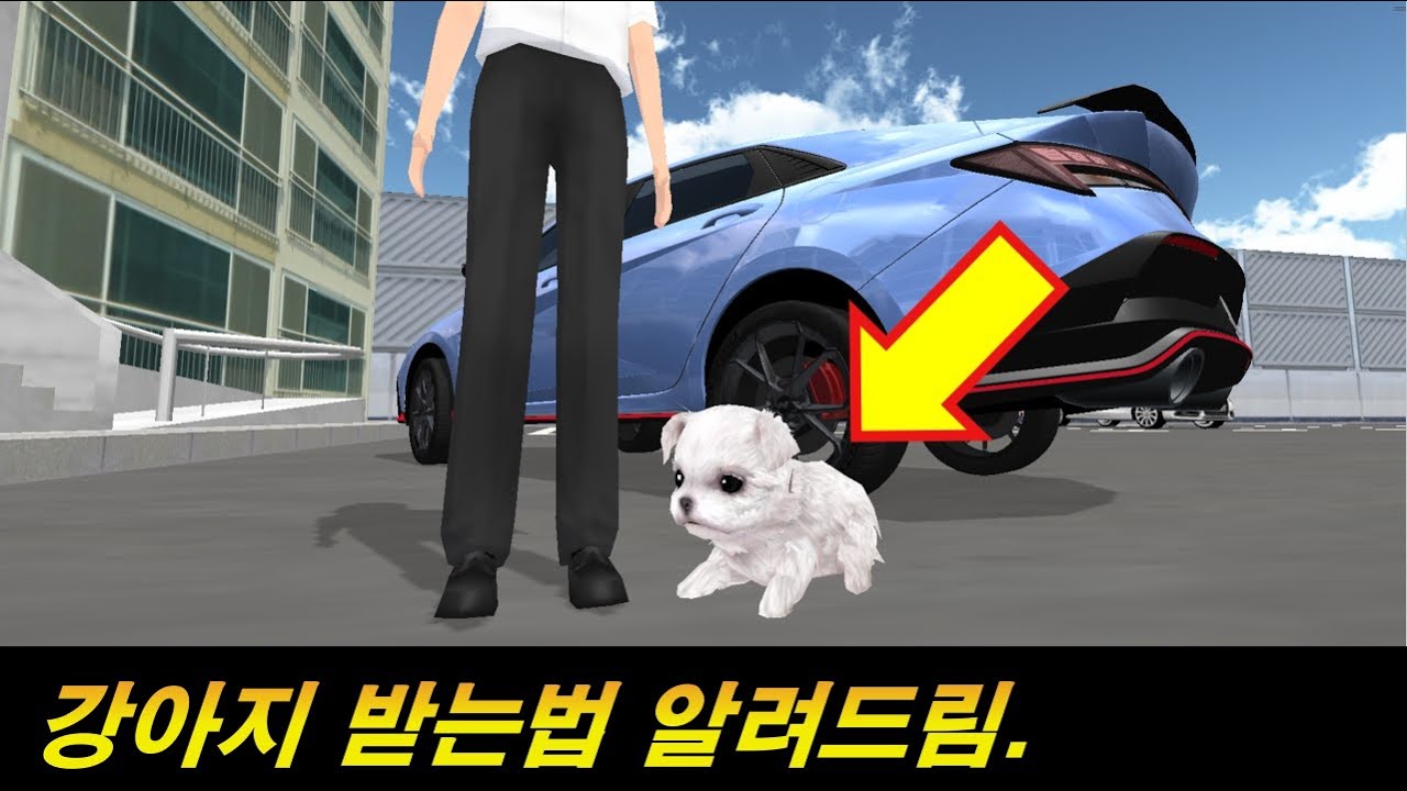 강아지 받는법 알려드립니다.