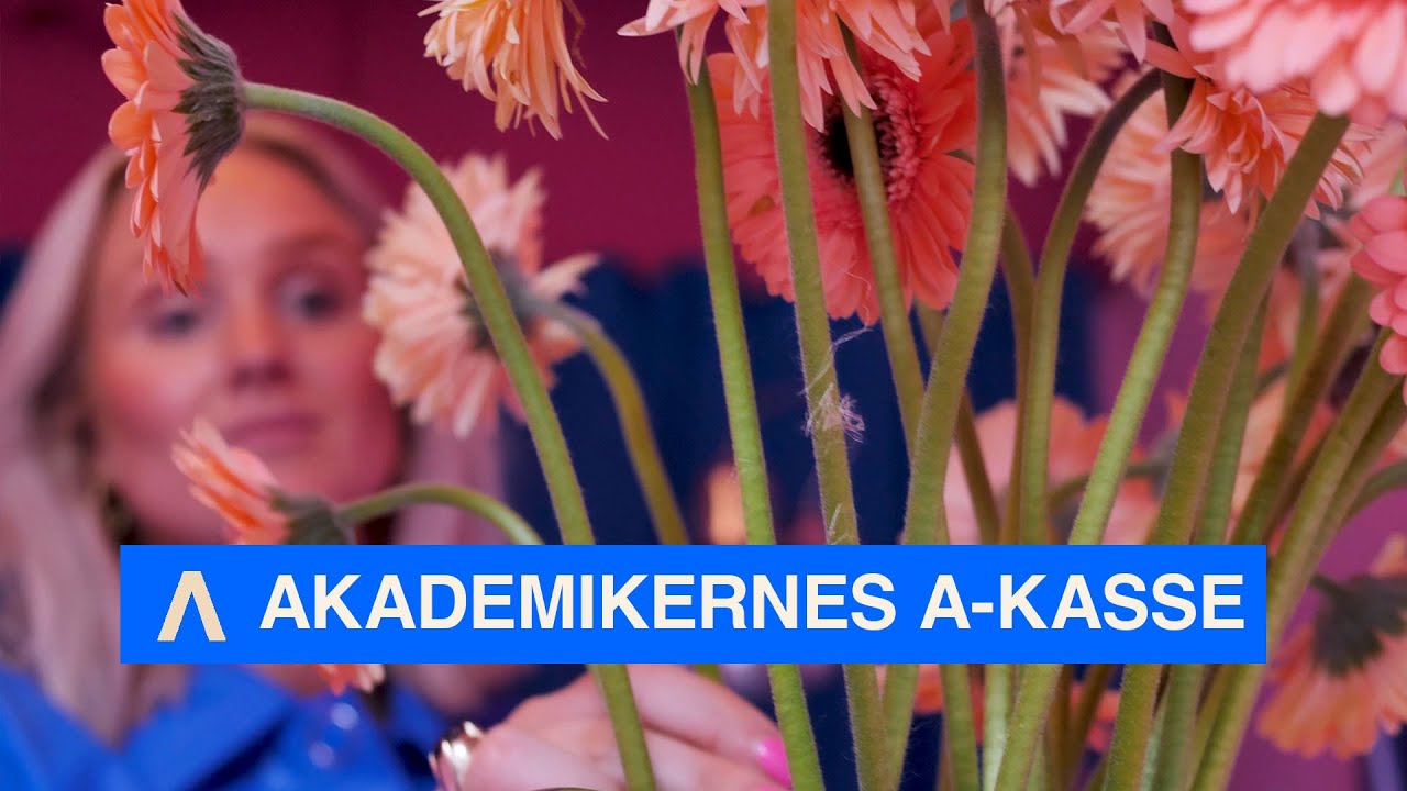 Akademikernes A-Kasse - Startup portr&aelig;t (Studio FL&Oslash;R)