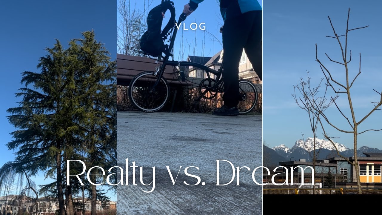 This is Why I Live in Langley! 🇨🇦 Stunning Snow Mountain Views on a Brompton (Sunny Winter Ride)