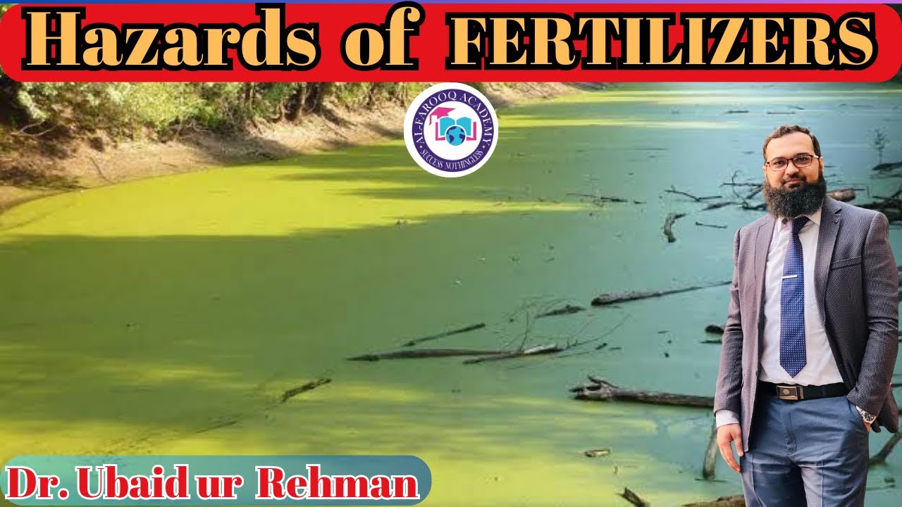 8.3 Environmental Hazards of Fertilizers | Eutrophication | Class 9 | Biology