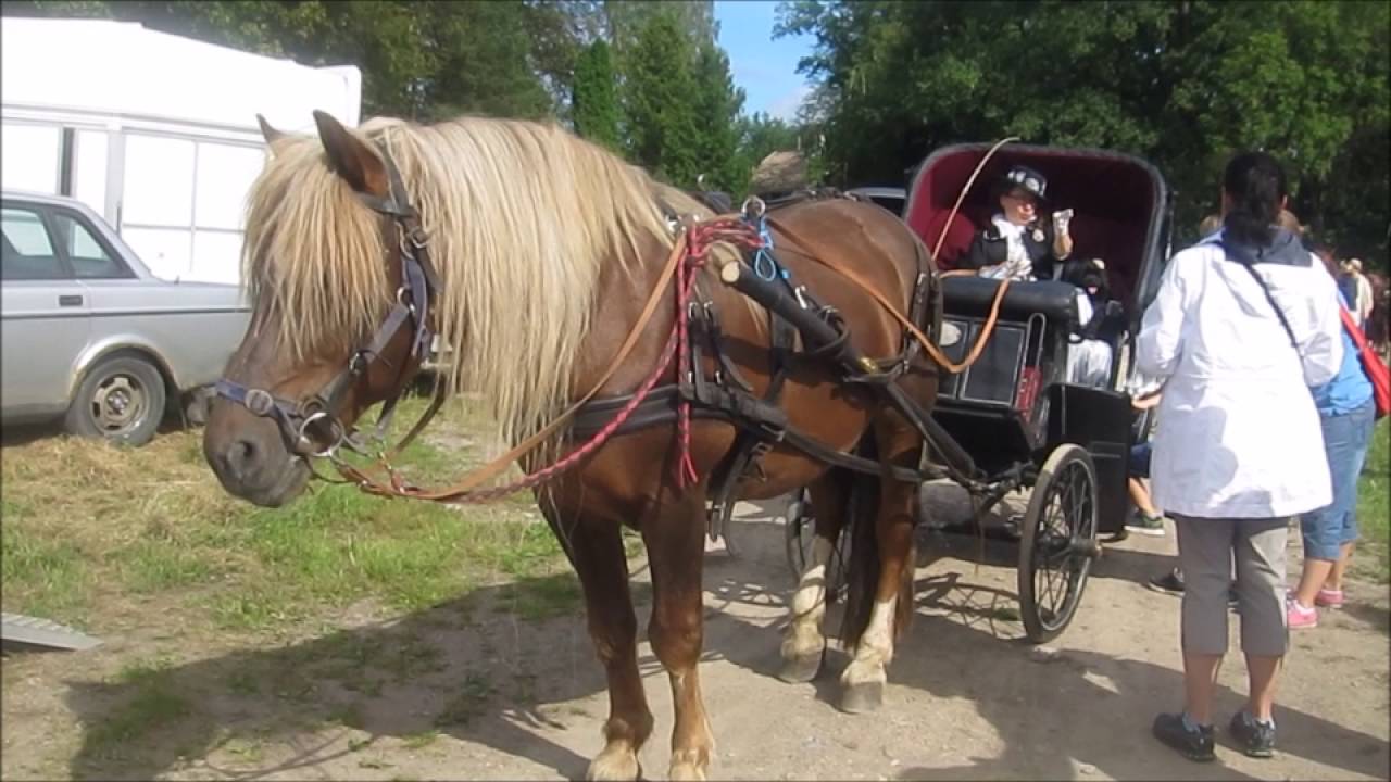 28. 8. 2016 Oitbackan kartano 1