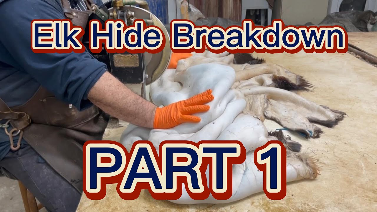 Elk Hide Breakdown PART 1 | Taxidermy Tales