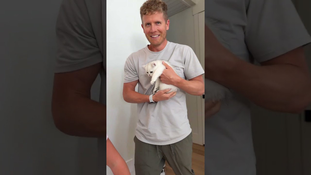 I SURPRISED MY WIFE WITH A NEW BABY KITTEN (SCOTTISH STRAIGHT)