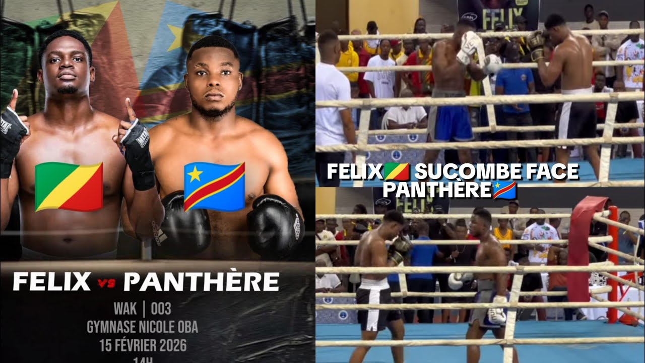 COMMENT FELIX LE BOXEUR🇨🇬 A PERDU LE COMBAT FACE À PANTHÈRE DE LA RDC🇨🇩? VOICI LES CAUSES😭😭😭