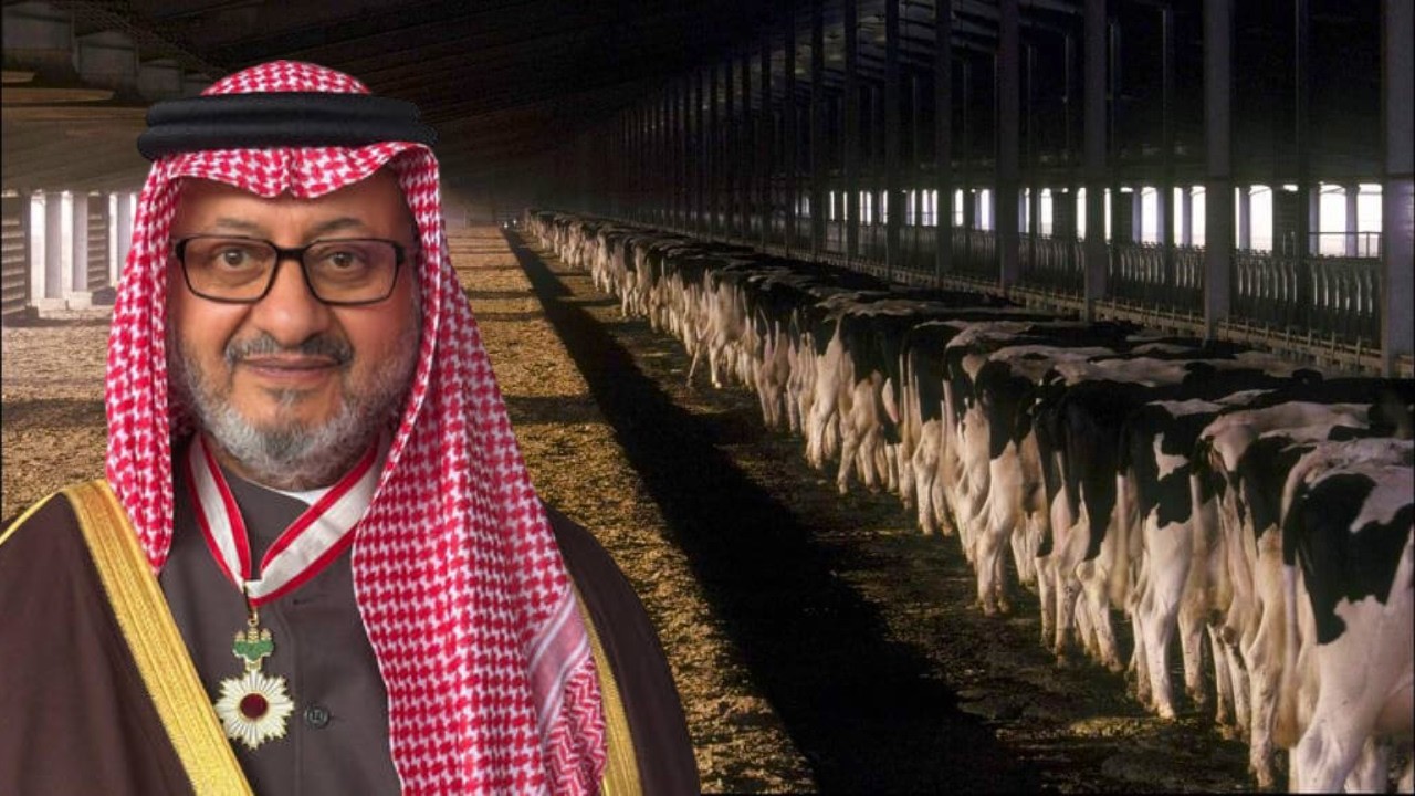 Молочная ферма Al Safi, крупнейшая в мире молочная ферма стоимостью в миллиард долларов, располож...