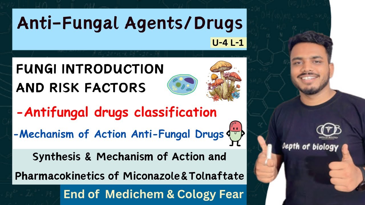 Antifungal Drugs || Classification of Antifungal agents || Antifungal Agents mechanism of action