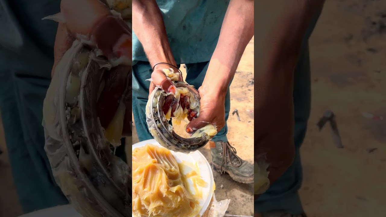 Satsfiying Wheel bearing greasing 