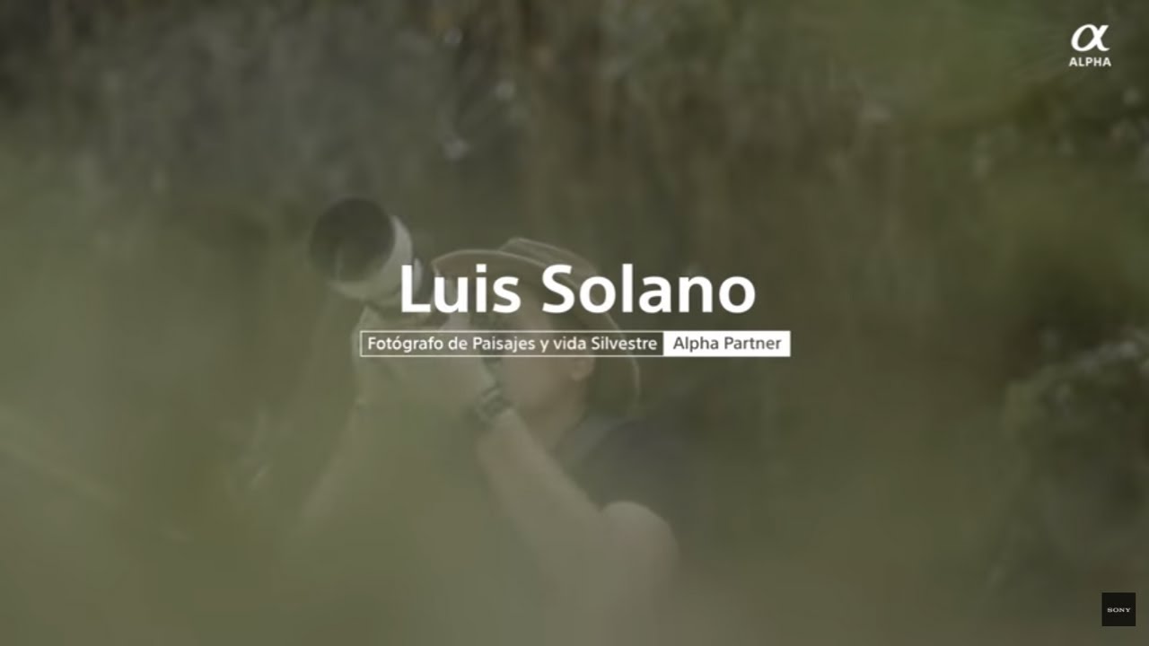 Luis Solano Pochet | Alpha Partner de Costa Rica nos revela sus secretos para Paisaje y Naturaleza