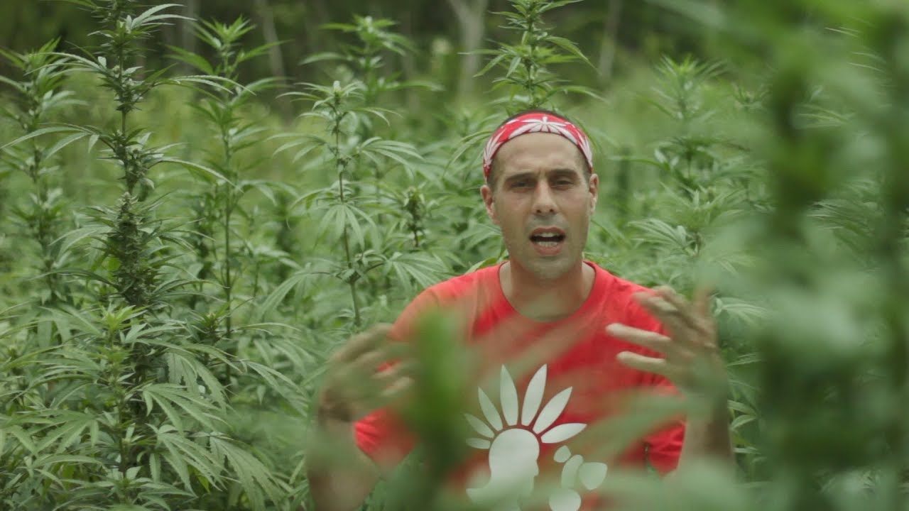 Tomawok - Ganja city