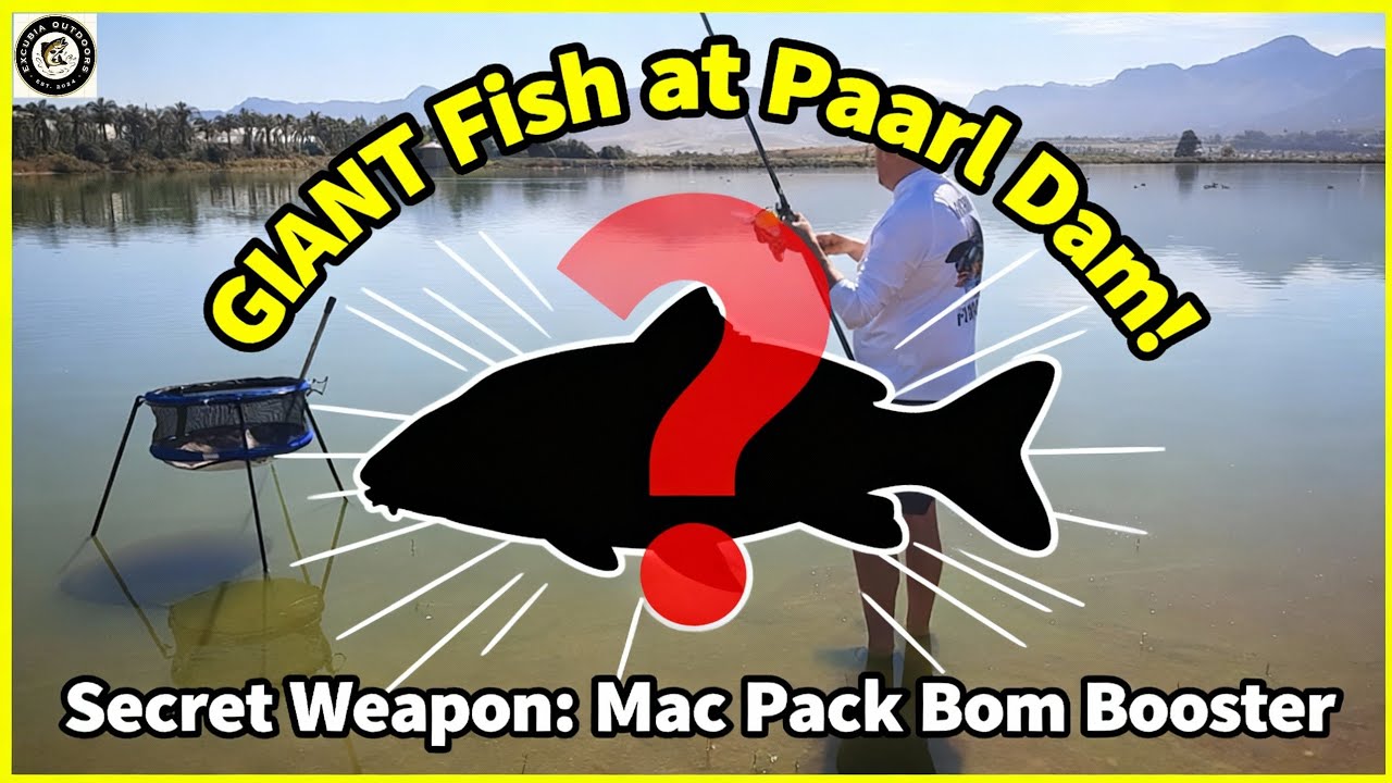 Catching Monster Carp at Paarl Dam! #carpfishing #paarldam#bigcarp #fishingSA 