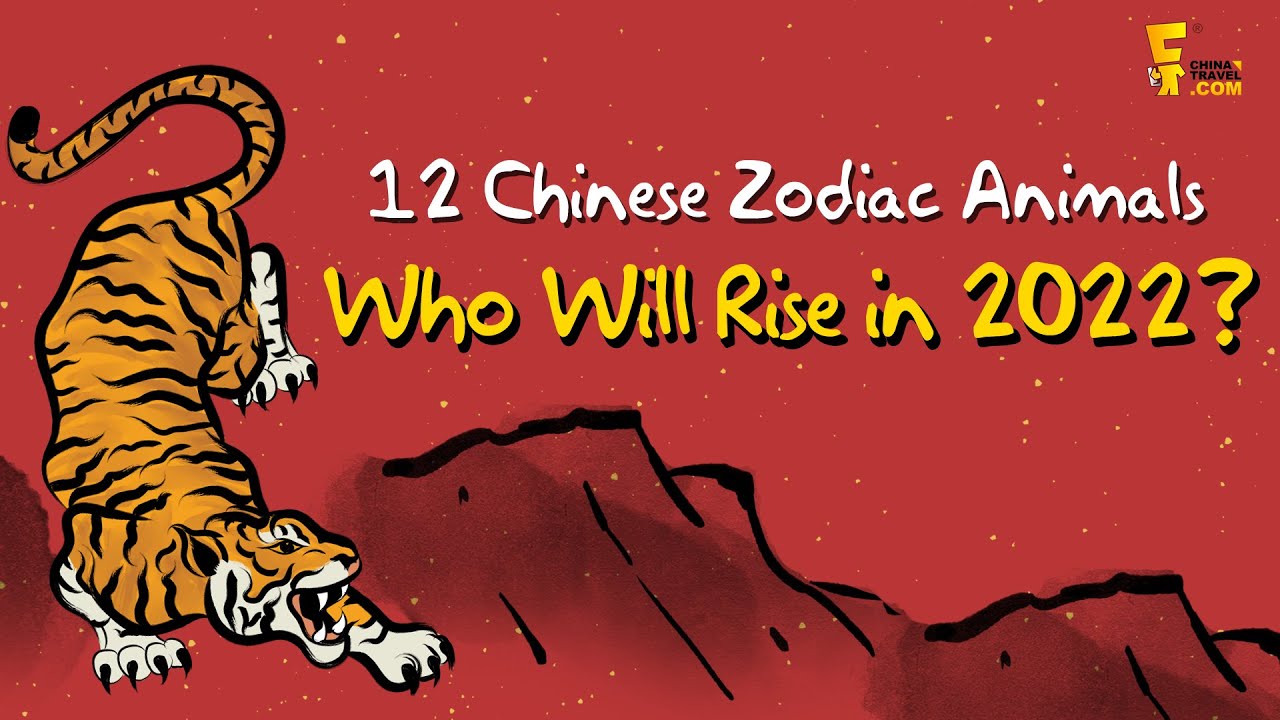 Chinese Zodiac Horoscope  2022 | 12 Chinese Zodiac Animals Forecast in the Year of the Tiger