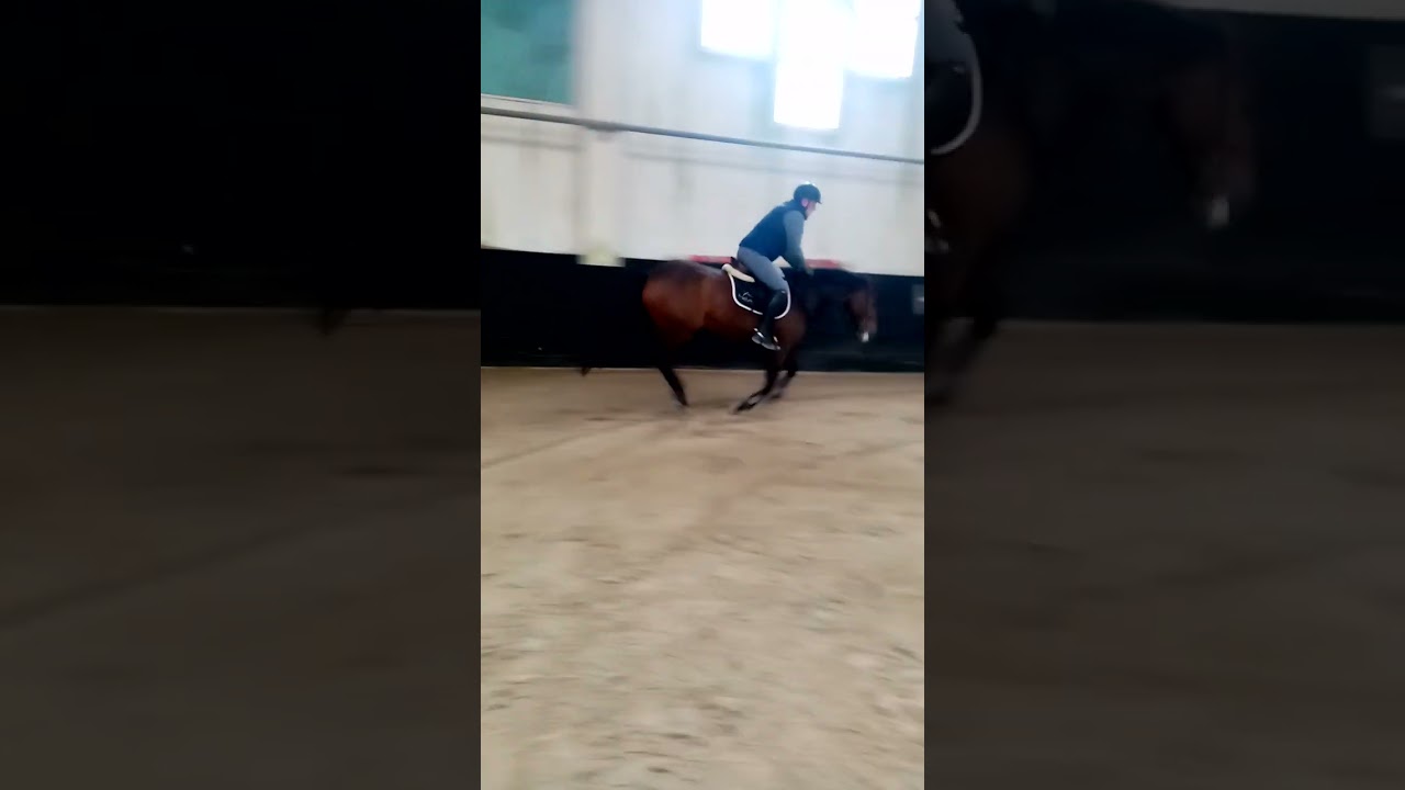 Trening Konjičkog društva Zagreb i Zagrebačkog konjičkog saveza