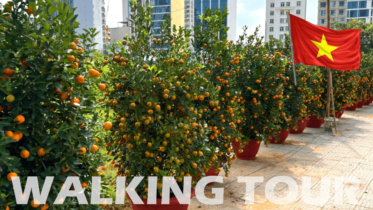 Beautiful Kumquat Trees & Tet Flowers in Da Nang | 4K No Talking ASMR