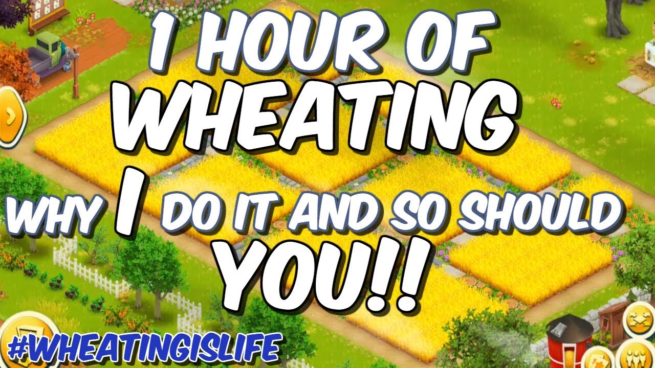 HAY DAY-1 Hour of WHEATING!! Harvest Wheat for Free Items to Upgrade Barn & Silo!!