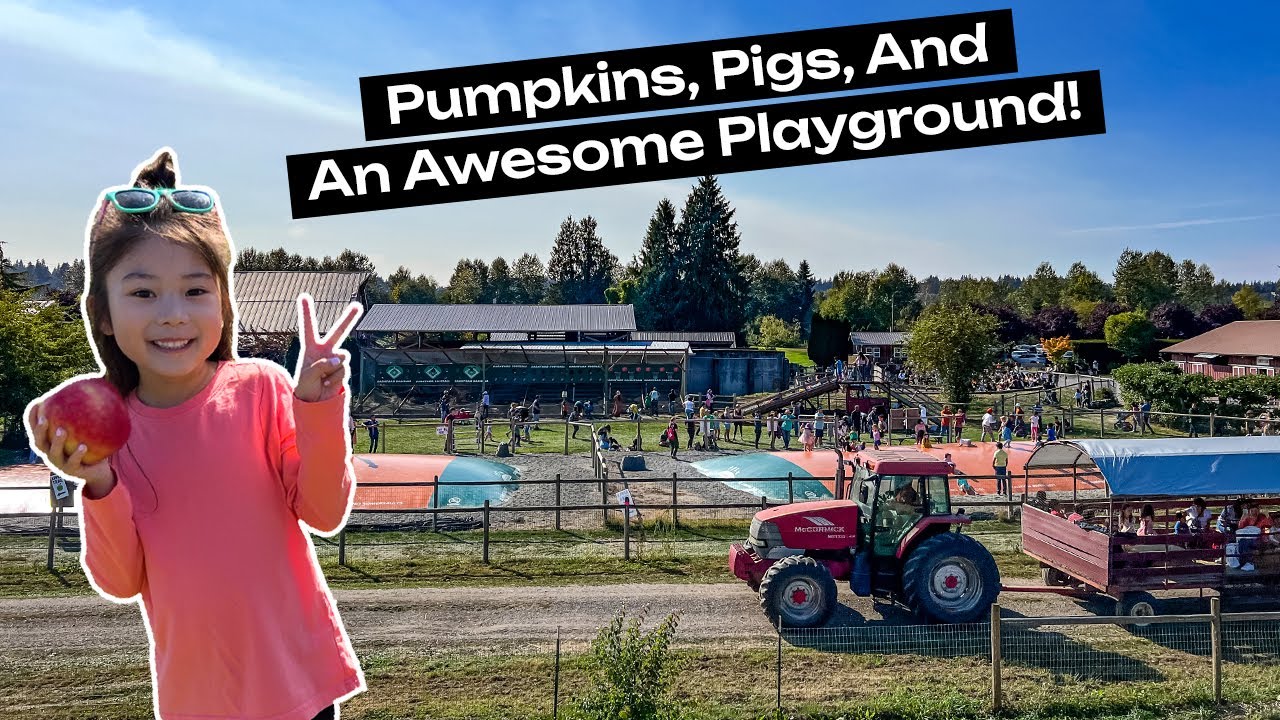 Awesome Fall Activity for Toddlers and Kids Near Seattle. Pumpkin Patch, Farm Playground, and More!