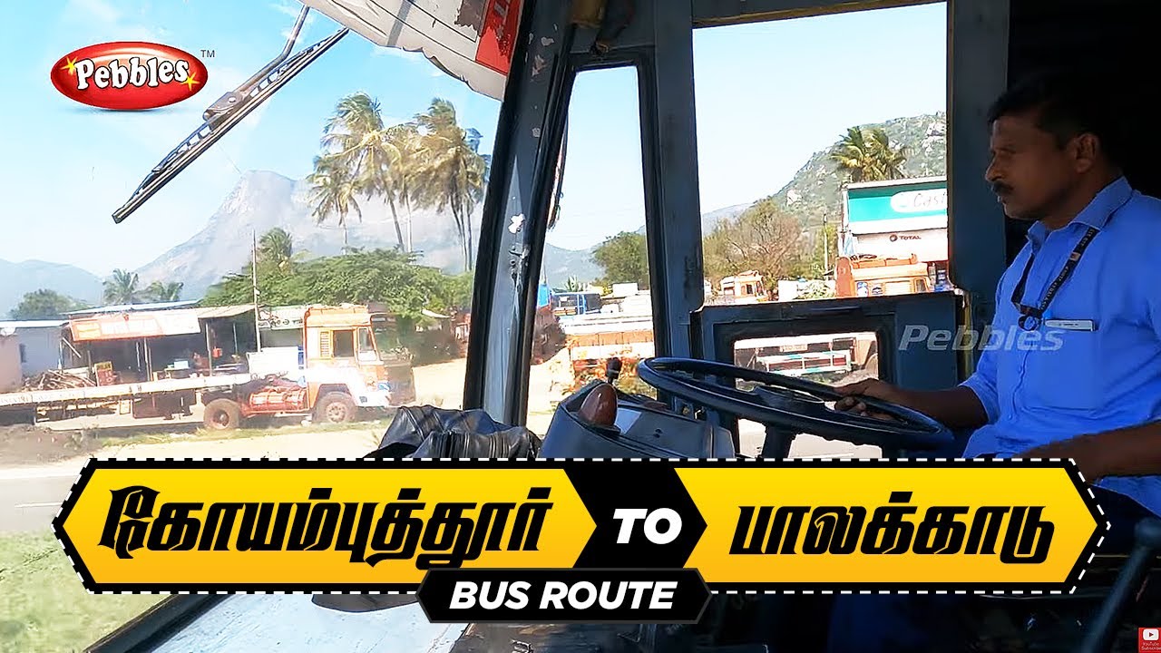 கோவை To பாலக்காடு பேருந்து பயணம் | Coimbatore  Kovai To Palakkad highway ride | Fast Passenger Vlog🤩