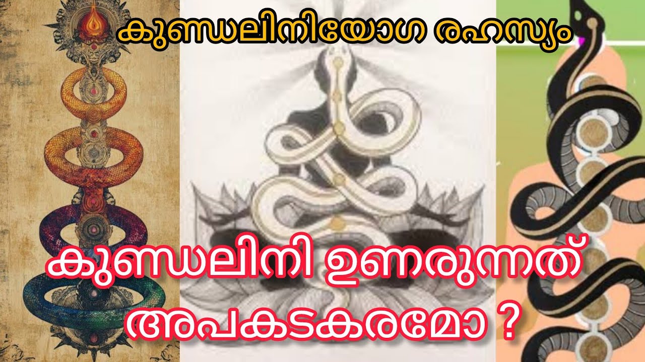 കുണ്ഡലിനി ഉണരുന്നത് അപകടകരമോ? |  കുണ്ഡലിനി യോഗ രഹസ്യം | ആചാര്യ കൃഷ്ണകുമാർ | ഹിമാലയൻ സിദ്ധാശ്രമം
