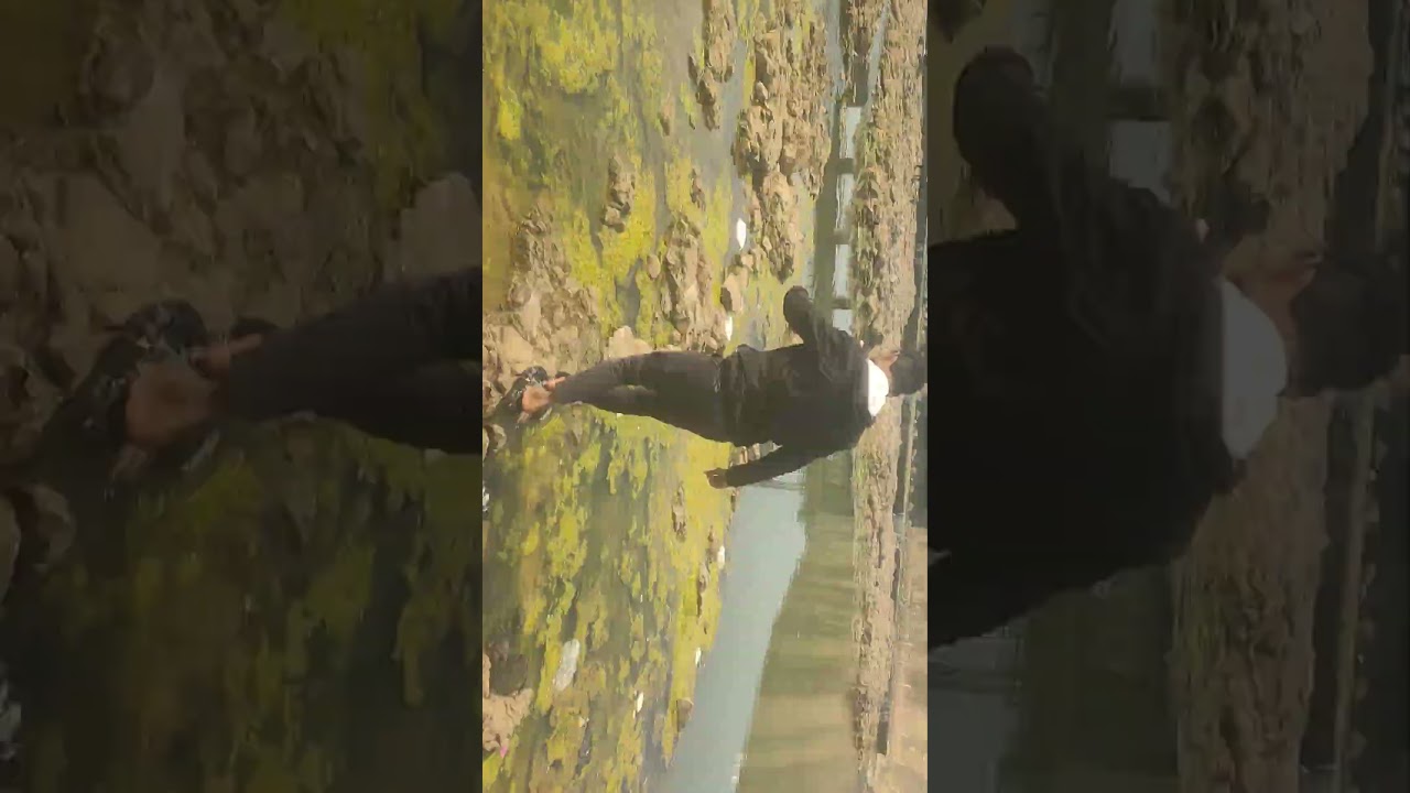 Dam vlog #12