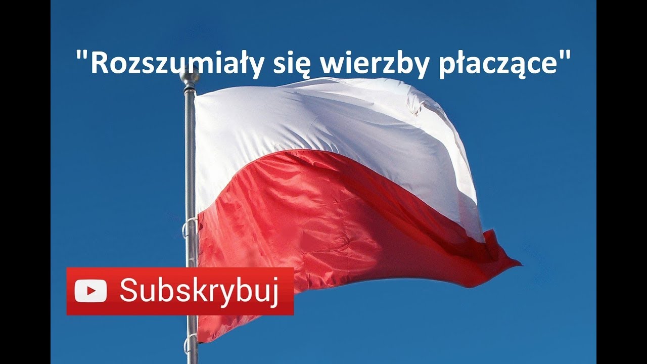 🇵🇱ROZSZUMIAŁY SIĘ WIERZBY PŁACZĄCE | COVER | AKORDEON | BOSSMusicLomza