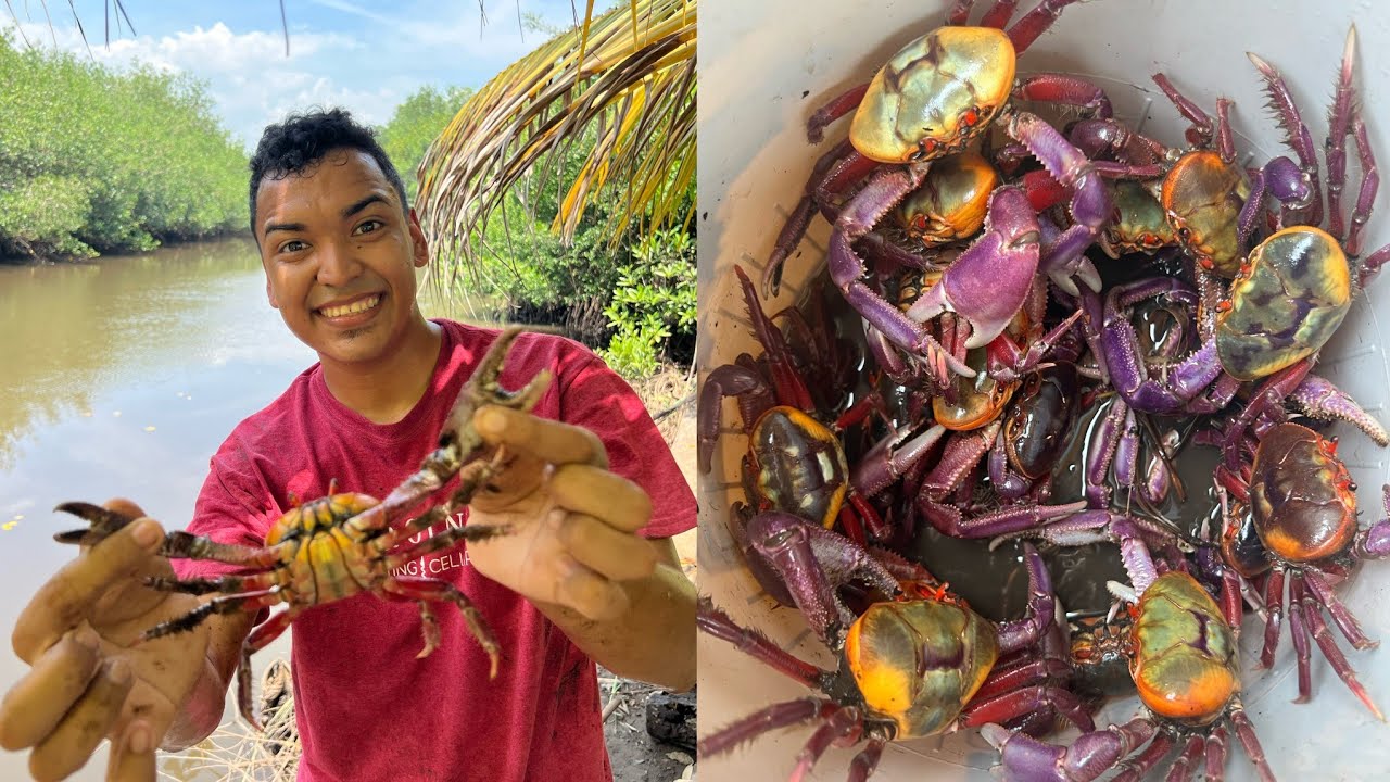 SACANDO CANGREJOS por la  LLENA de la  BOCANA EL SALVADOR