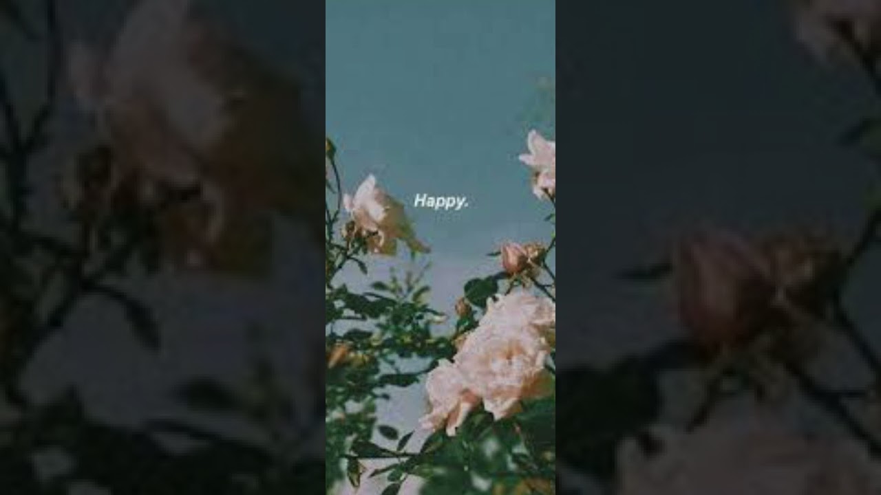 𝙱𝚕𝚊𝚌𝚔𝚘𝚞𝚝 - 𝚒𝚗 𝚝𝚑𝚎 𝚑𝚎𝚒𝚐𝚑𝚝𝚜 𝚜𝚙𝚎𝚍 𝚞𝚙 (𝚟𝚊𝚗𝚎𝚜𝚜𝚊𝚊𝚊𝚊)