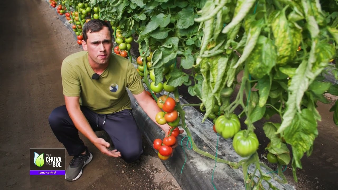 Reportagem Faça Chuva Faça Sol sobre a produção hortícolas