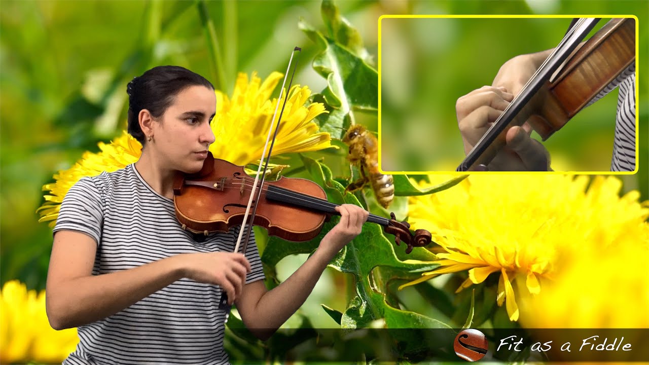 Mary Cohen,  Techniques Takes Off! 14 Intermediate Studies #12 - The Bee's Knees🐝🐝🐝