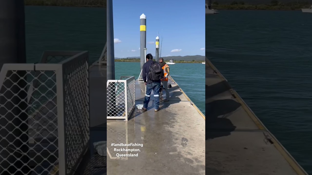 Land base fishing | Yeppoon, Queensland #fishing #shorts #fyp